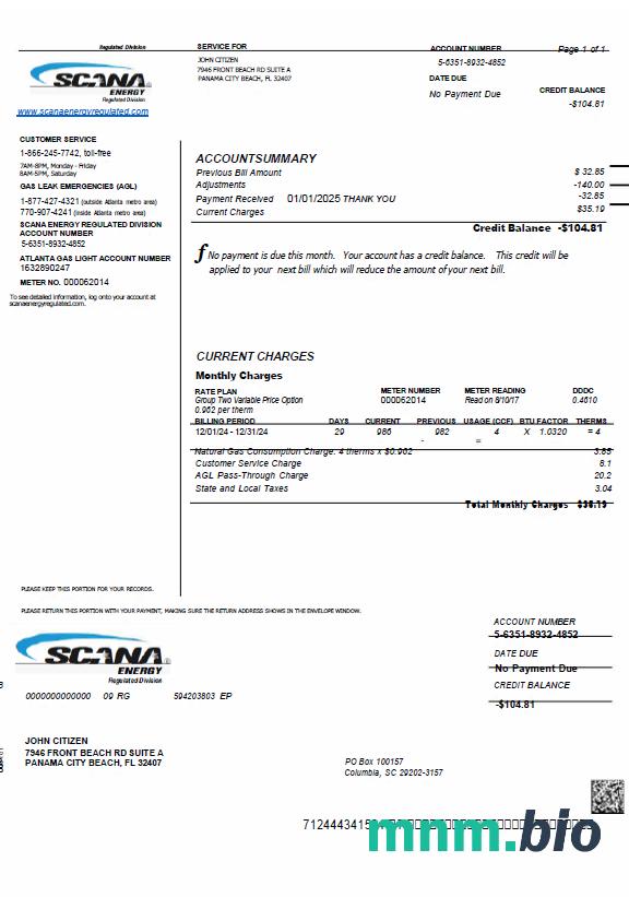 Szablon rachunku za media energetyczne USA SCANA w formatach Word i PDF
